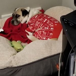 Meet your Posher, Candice